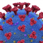 Illustration: an up close look at the COVID-19 virus (alpha variant).