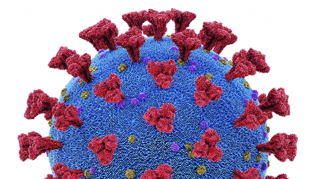 Illustration: an up close look at the COVID-19 virus (alpha variant).